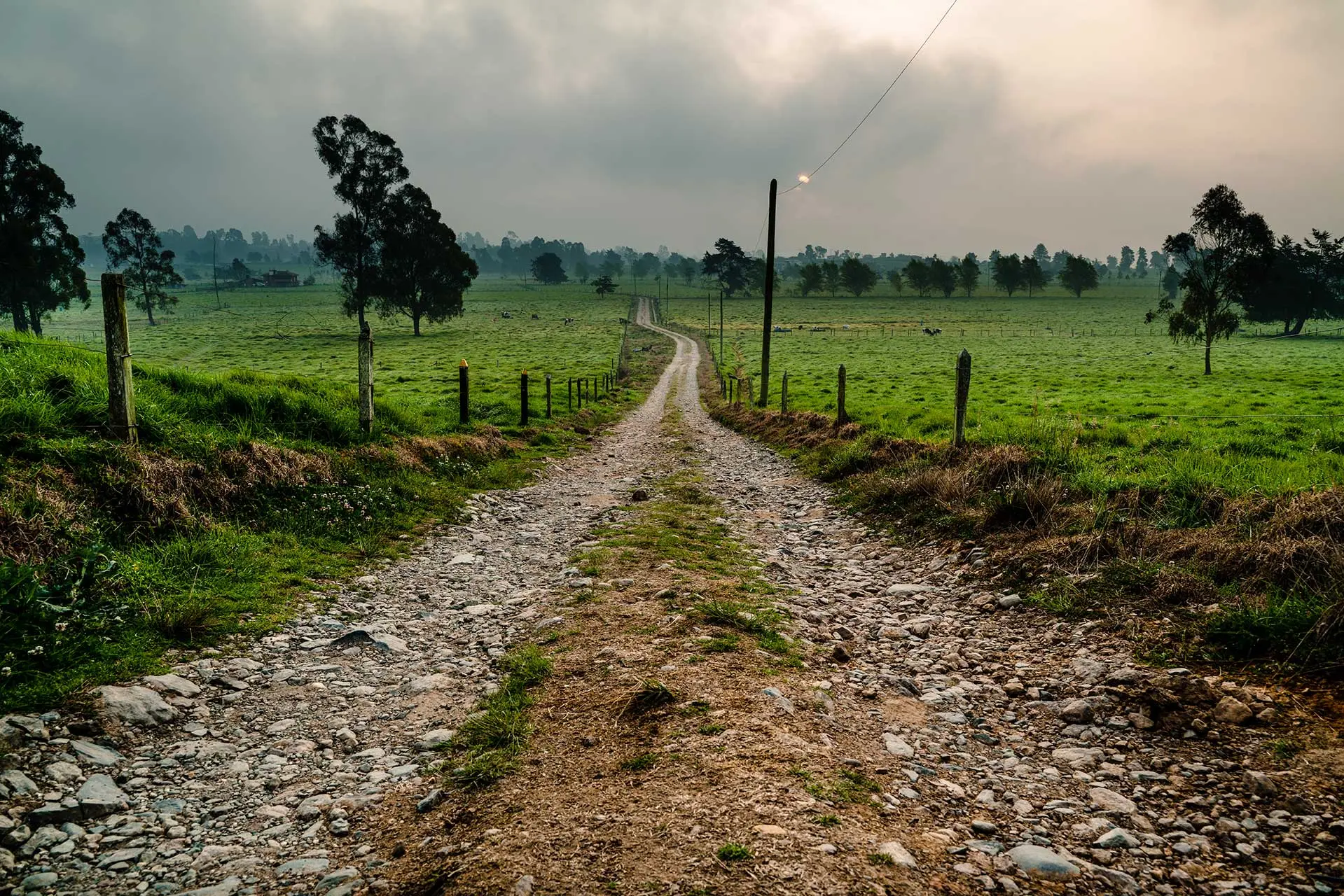 naturaleza-camino-road-fotografia-fotografo-colombia-antioquia-nature-photographer-photography